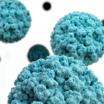 Norovirus: A Dangerous Global Health Threat 2025